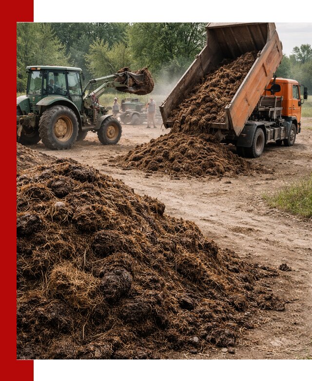 Доставка навоза самосвалами в Шебекине для сельхозпотребностей